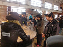 �����w�Z�Ő����o��