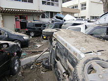 �����w�Z