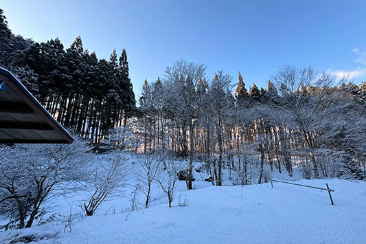 �ӂ�͐�ł��B