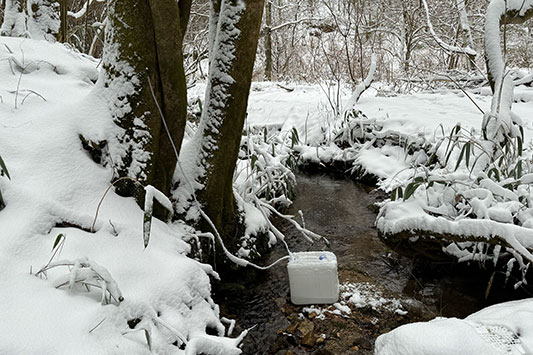 ���[�v���̎��t���̎�