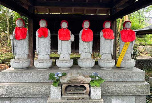 �������T��