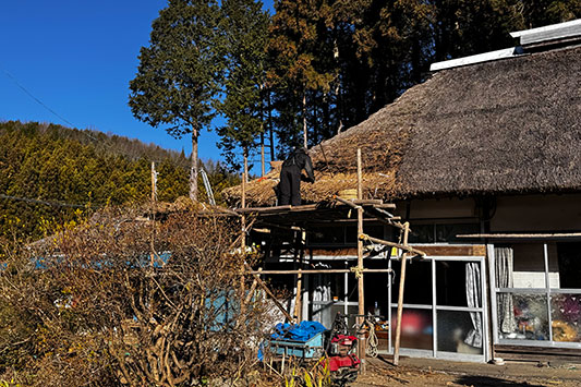 ���N�P��̊��̕����ւ�