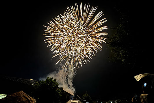 ������ƂƉԉ�