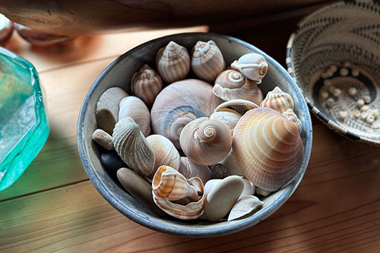 ���킫�ɓ��e���ɏo������