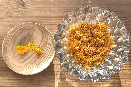 �J�����f�����̉�