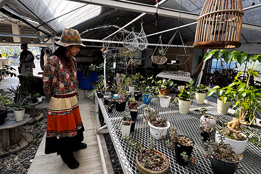 �n��(�ق�)�ƎO����