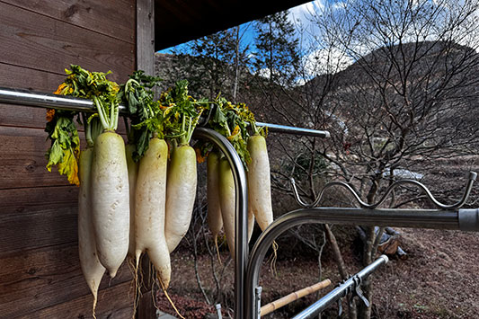 �������܃����h