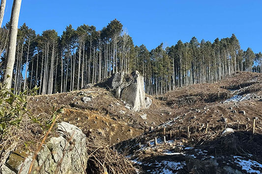 �n�����炦