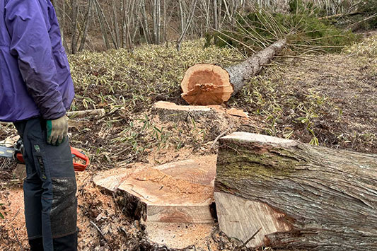 �V������