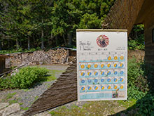 �͂���ߌ��̂���� 2025