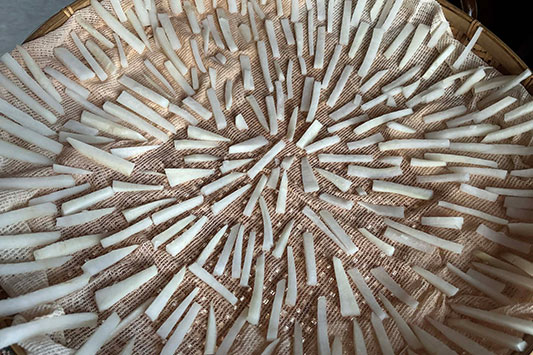 �؂花���卪